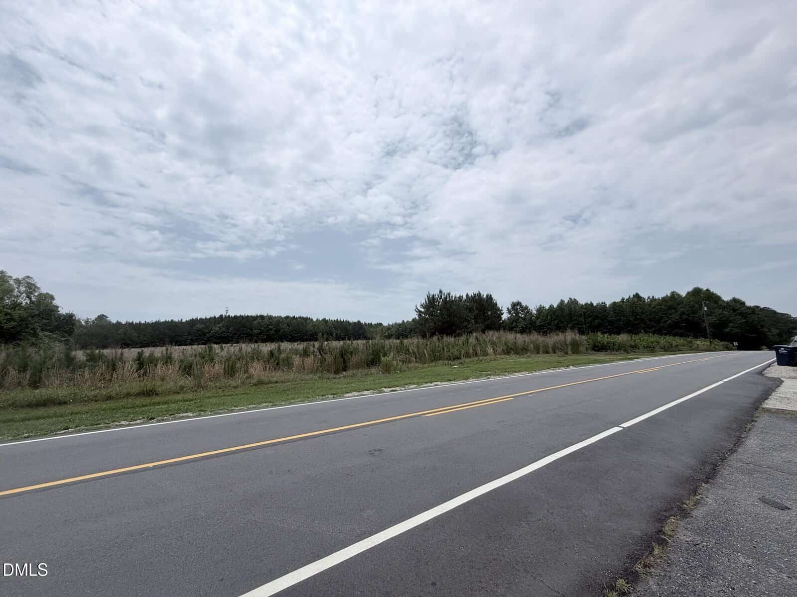 A two-lane road runs alongside grassy land and a line of trees under a mostly cloudy sky. The scene is quiet and rural, with no vehicles or people visible.