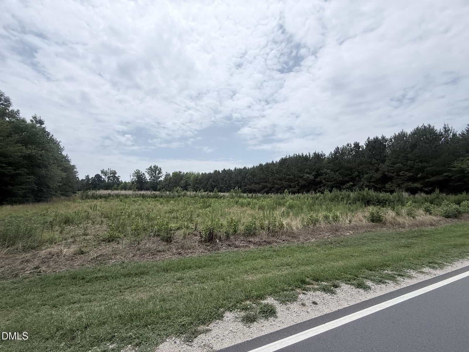 A grassy, partially overgrown field bordered by dense trees under a cloudy sky, with a paved road and gravel shoulder in the foreground.