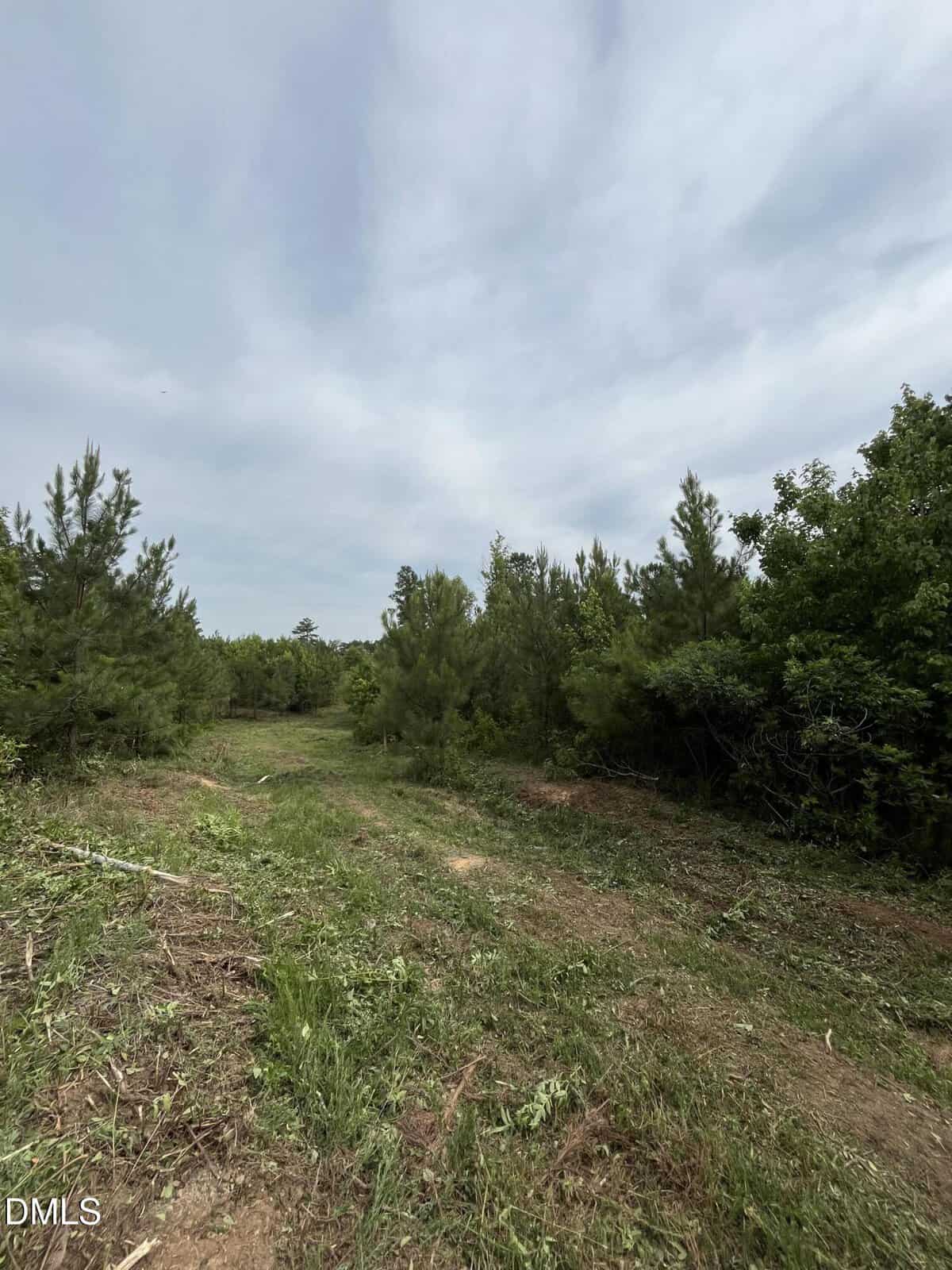 A dirt trail runs through a grassy area bordered by small pine trees and thick green bushes under a mostly cloudy sky.