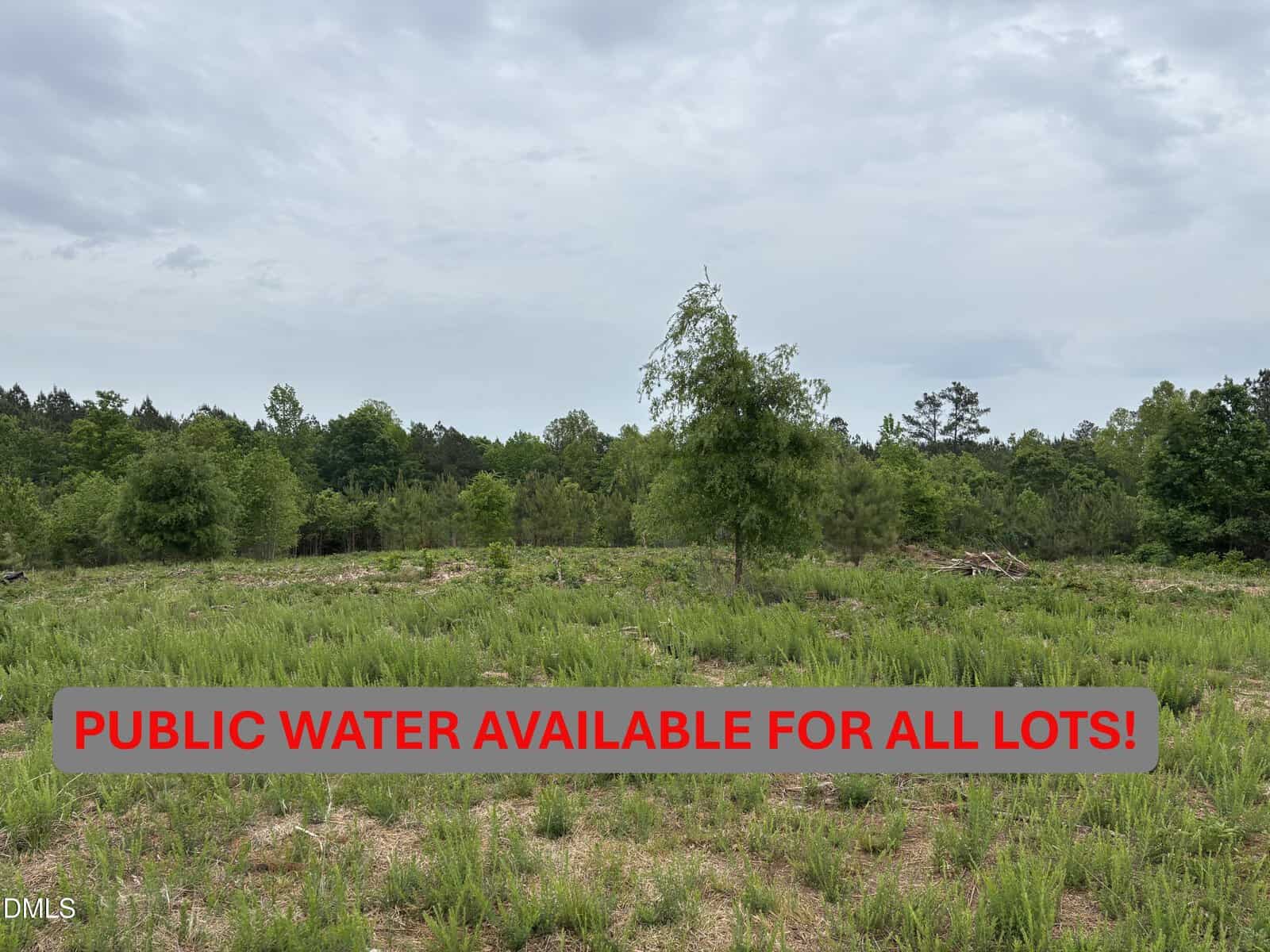 A grassy, partially cleared land lot with trees in the background is featured on 0 Burchette Road Lot 2 Road, Manson. A gray banner with red text reads: “PUBLIC WATER AVAILABLE FOR ALL LOTS!” The sky is cloudy.