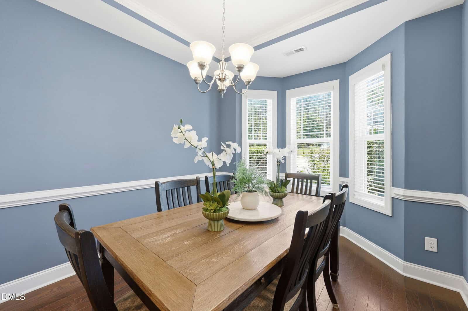 A dining room with blue walls, a wooden table, six black chairs, potted plants as centerpieces, a chandelier above, and three large windows with blinds letting in natural light.