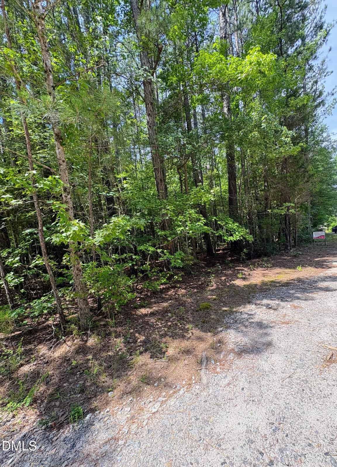 A wooded area with tall trees and dense green foliage beside a gravel path on 000 Sarah Lane, Henderson. Sunlight filters through the tree canopy, casting dappled shadows on the ground under a clear sky.