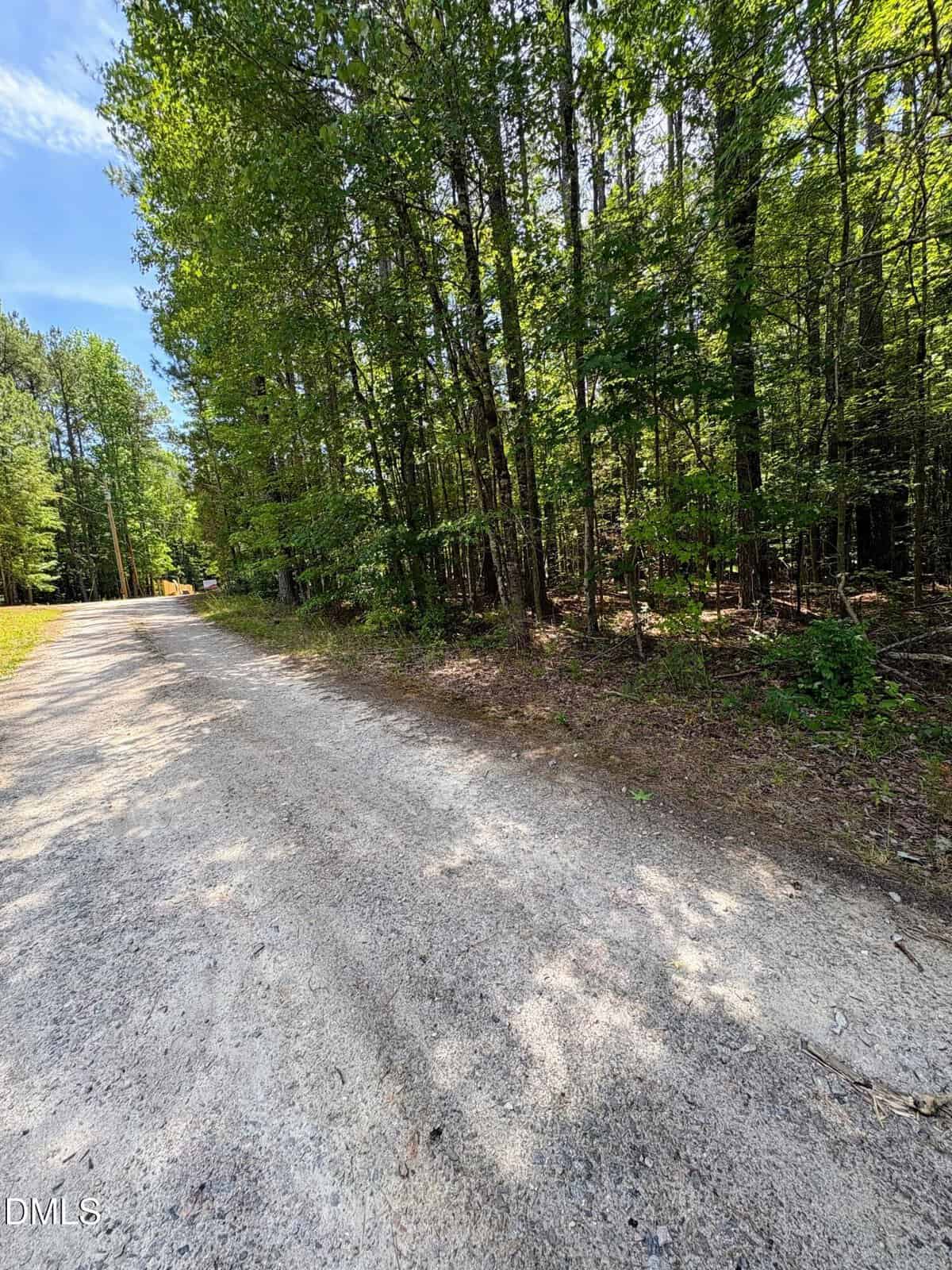 A gravel road curves through a wooded area with tall green trees and dappled sunlight. The forest floor is covered with leaves and branches, and the sky is partly visible with scattered clouds above the trees.
