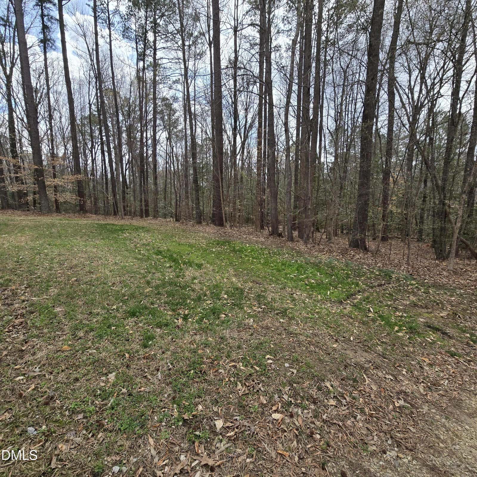A grassy area with patches of dirt and fallen leaves leads into a dense forest of tall, leafless trees under a partly cloudy sky.