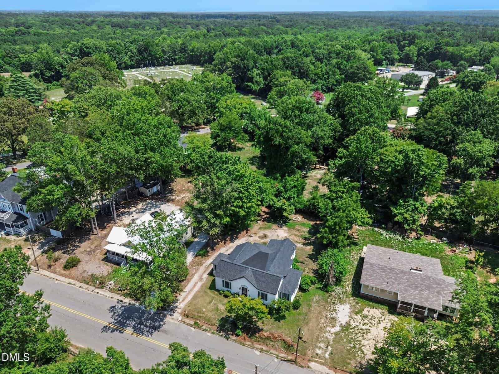 Aerial view of a suburban neighborhood with several houses surrounded by large, leafy trees and greenery, alongside a quiet road under a clear blue sky.