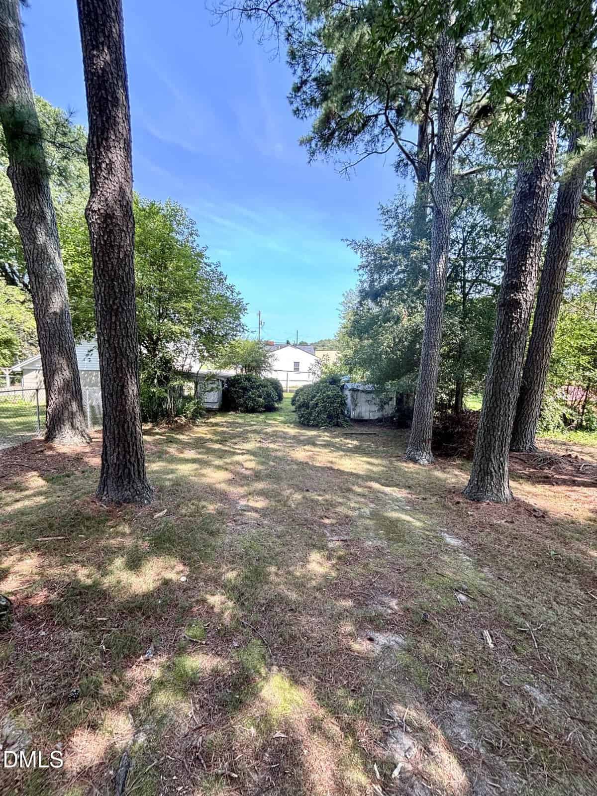 A backyard with tall trees, patchy grass, and some shaded areas. Two small sheds and a white house are visible in the background under a blue sky with scattered clouds.