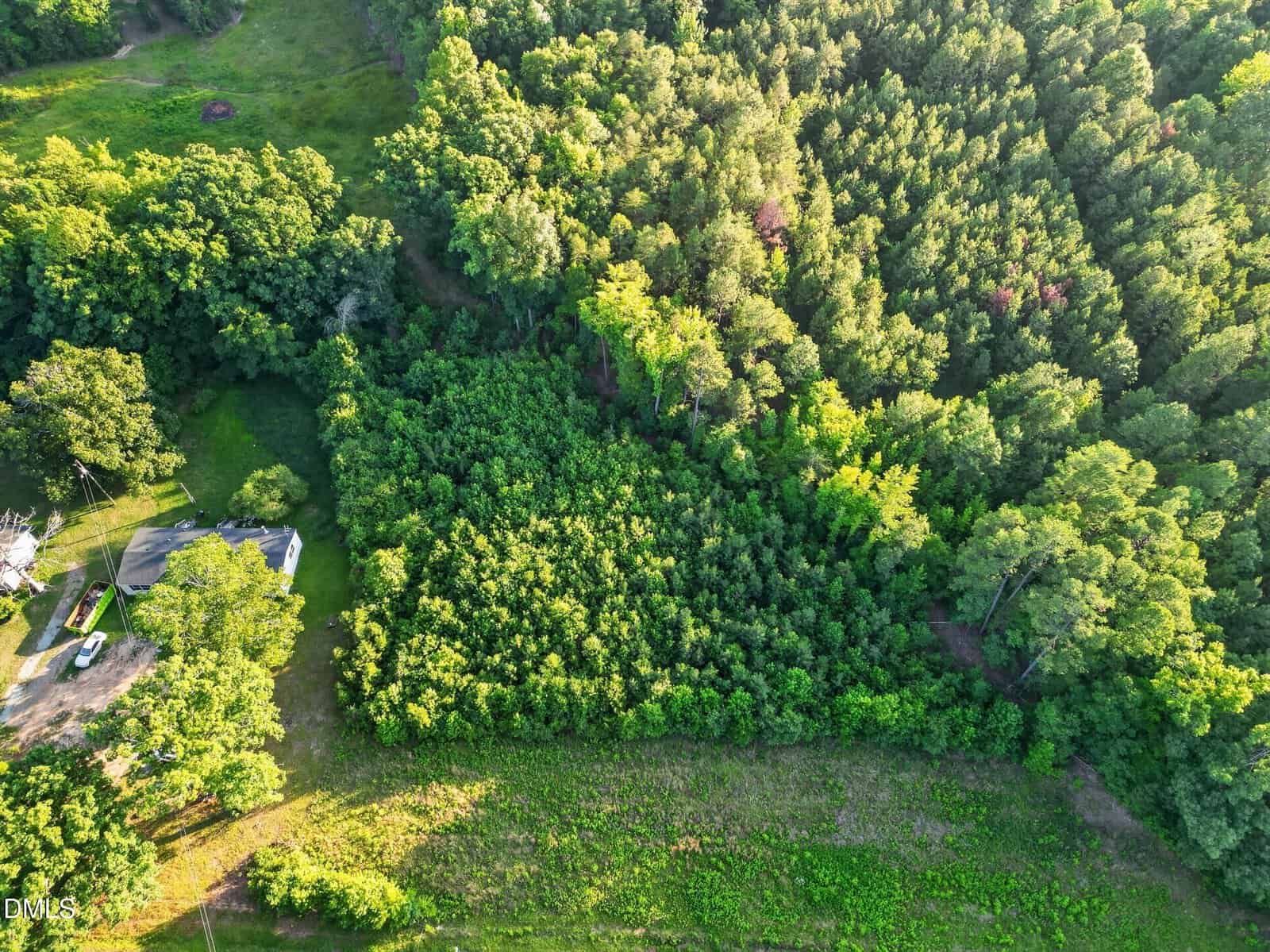 Aerial view of a rural landscape with dense green trees, a small house and driveway on the left, and a forested area occupying most of the image under bright sunlight.