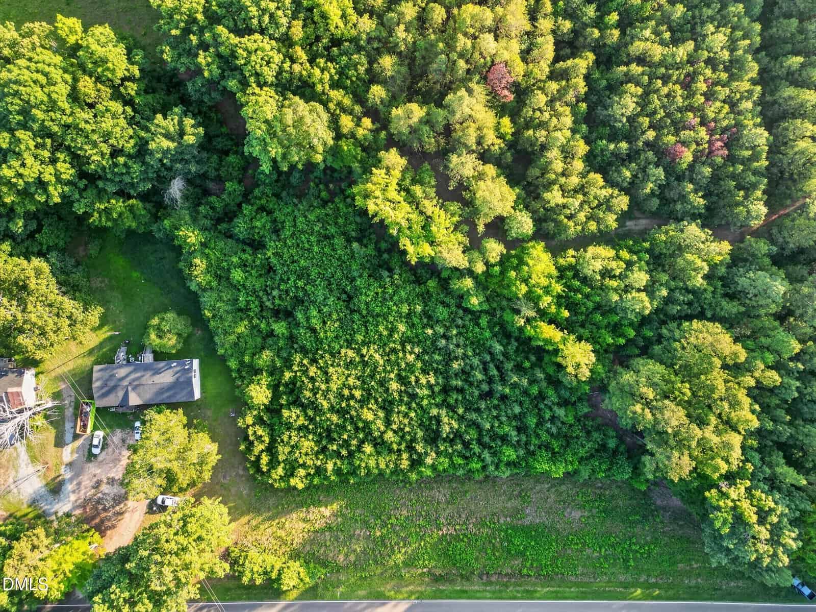 Aerial view of a house surrounded by trees and greenery, with a road at the bottom edge of the image and dense forest areas on the right and top sides.