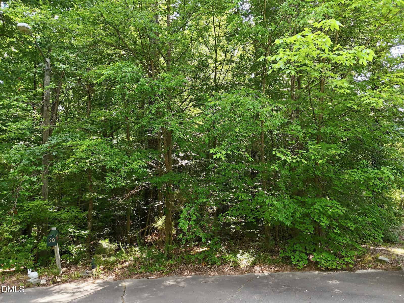 Dense green trees and shrubs line the edge of a paved road in Franklinton. A small white sign with the number 50 is visible on the left side near the ground, and sunlight filters through the leafy canopy above, casting dappled shadows along what could be 0 Heather Court.
