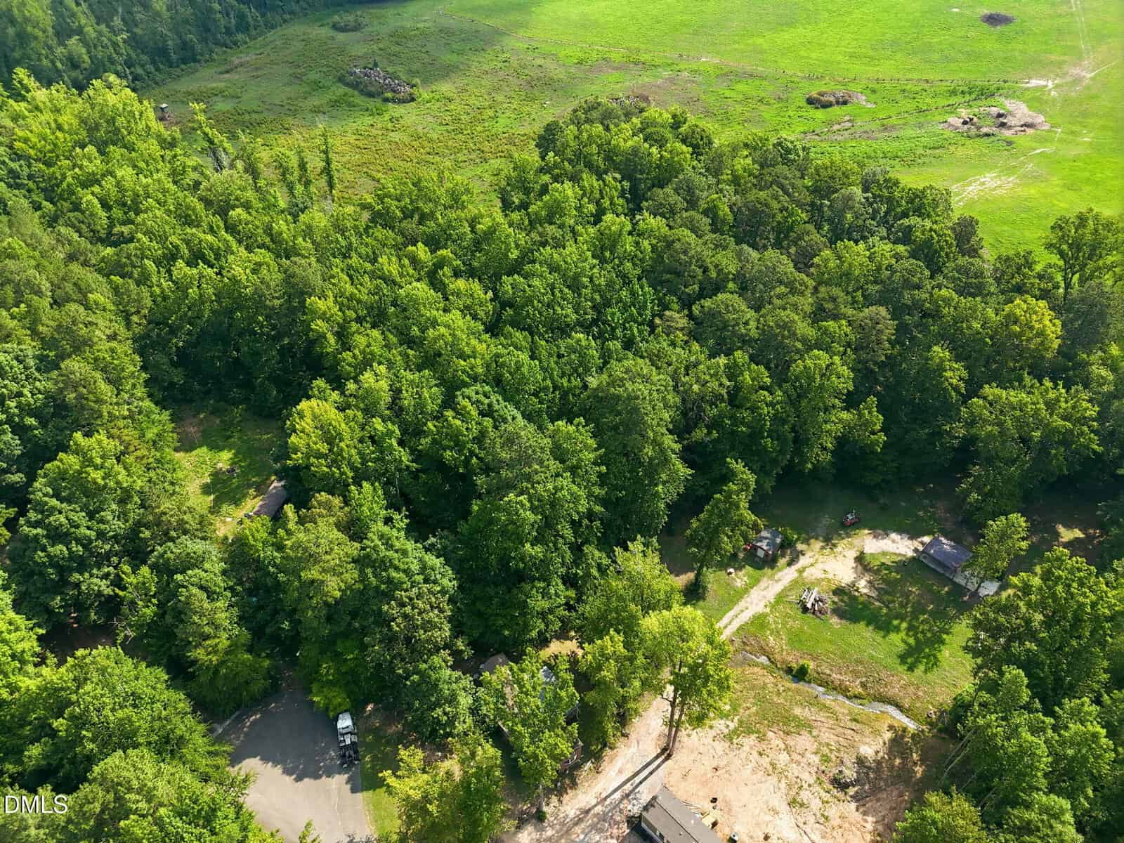 Aerial view of a lush, green forest bordering a grassy field, with a few houses and vehicles visible near the edge of the trees.