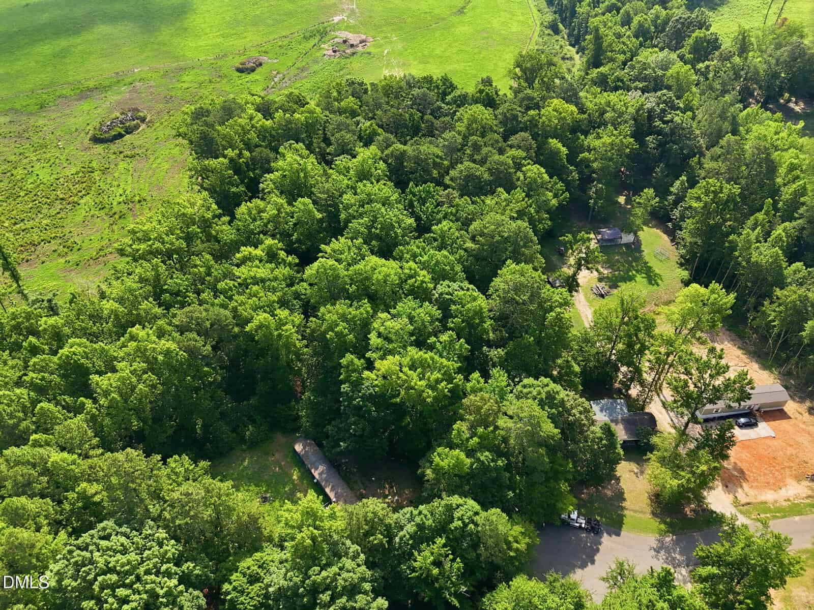 Aerial view of a green, wooded area with scattered houses, a road, and an open grassy field in the top left corner. Dense trees cover most of the scene.