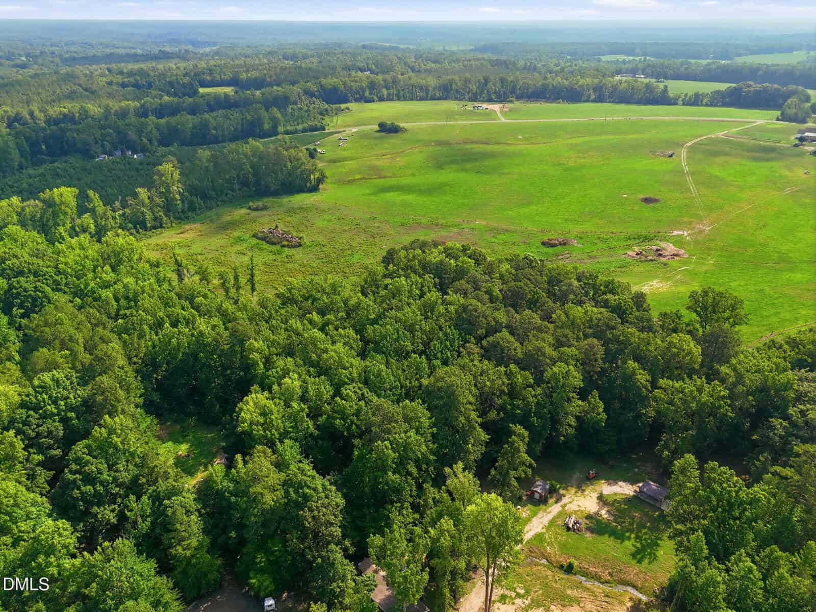 Aerial view of a lush green forest bordering an open grassy field, with scattered dirt paths and a few small structures visible among the trees and on the field.