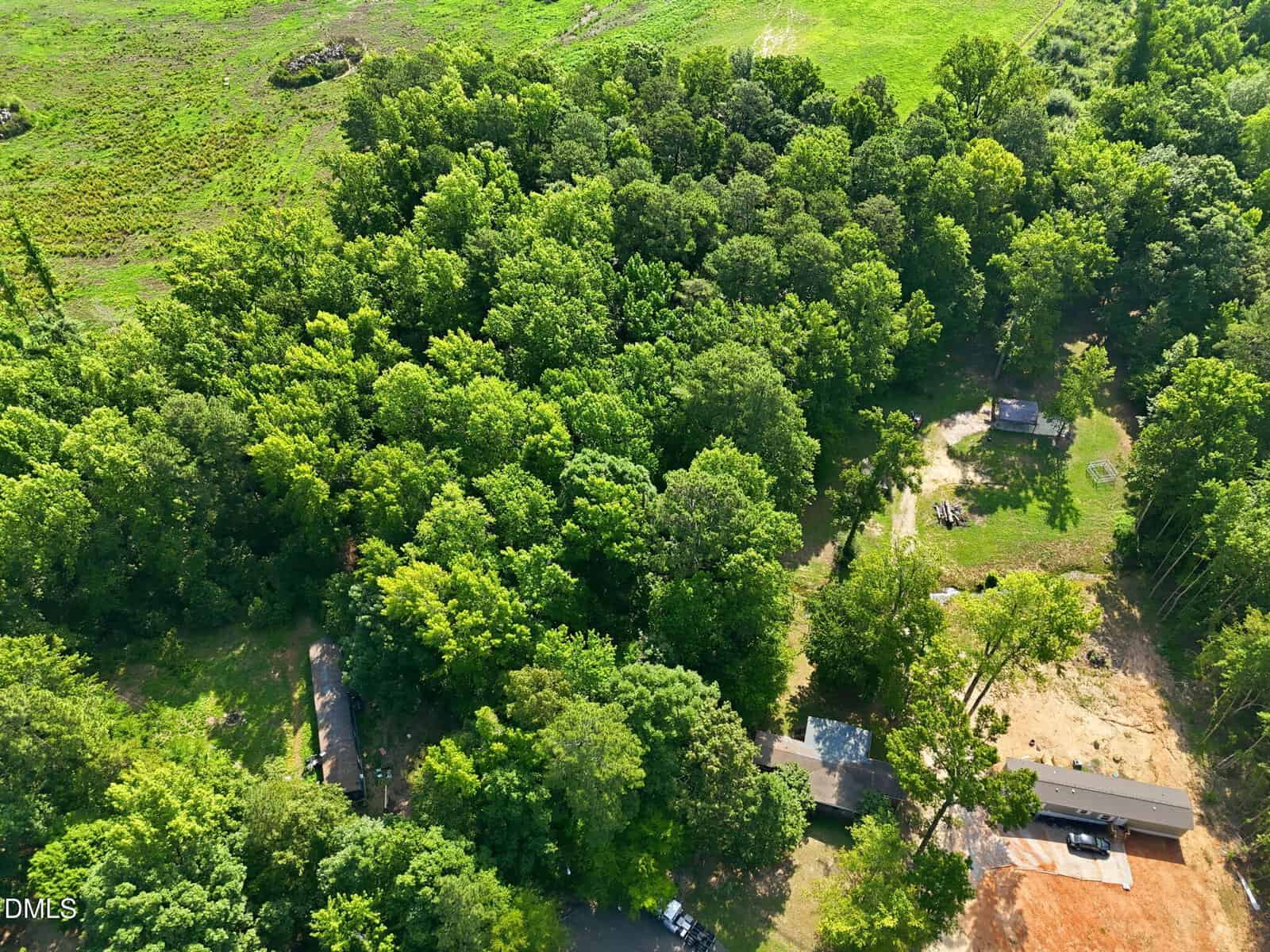Aerial view of a wooded area with scattered houses and clearings, bordered by a green field. Sunlight filters through dense trees, and several buildings are partially visible among the foliage and open patches.