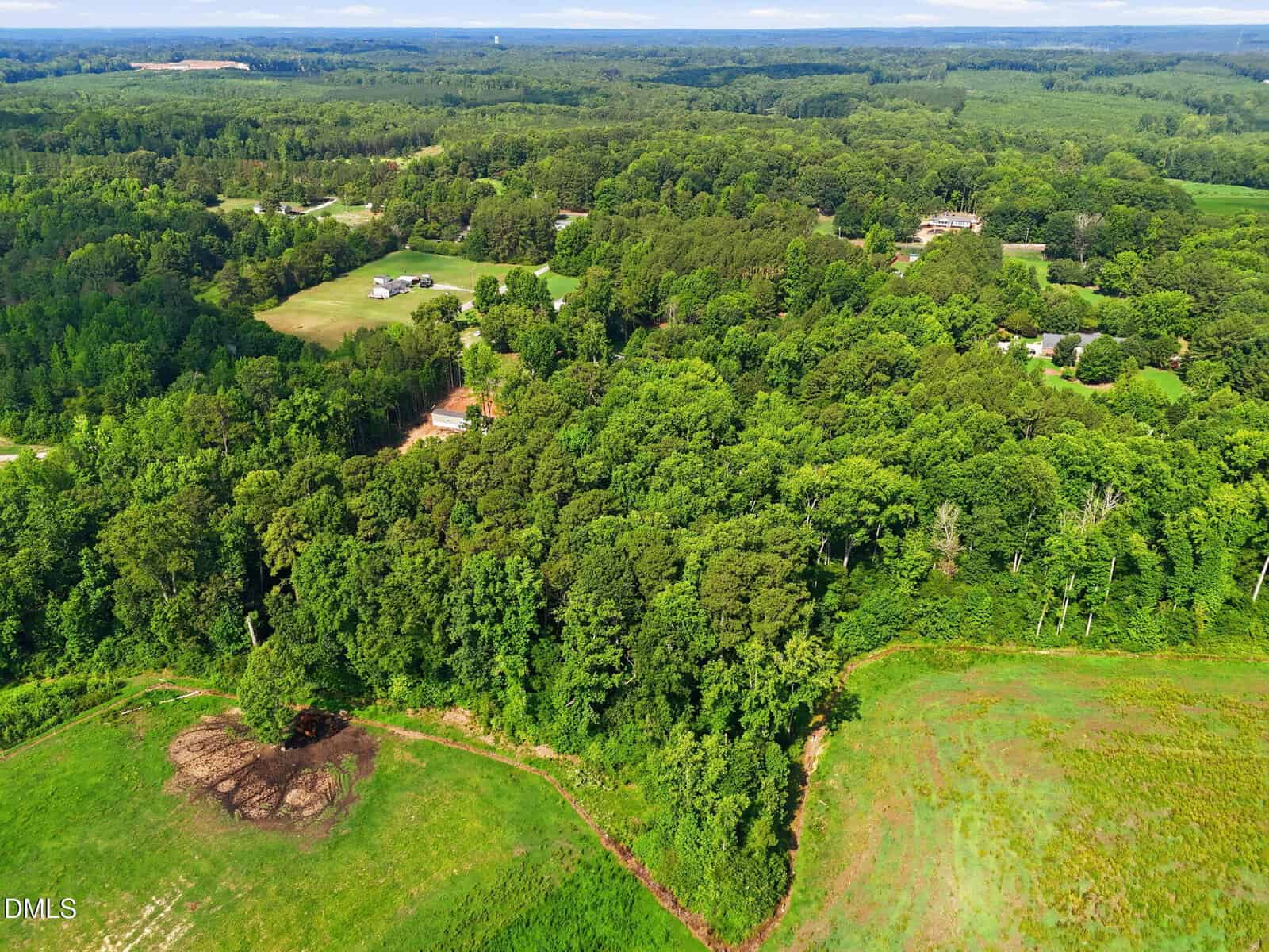 Aerial view of a lush green forest surrounded by open grassy areas, scattered houses, and distant rolling hills under a partly cloudy sky.