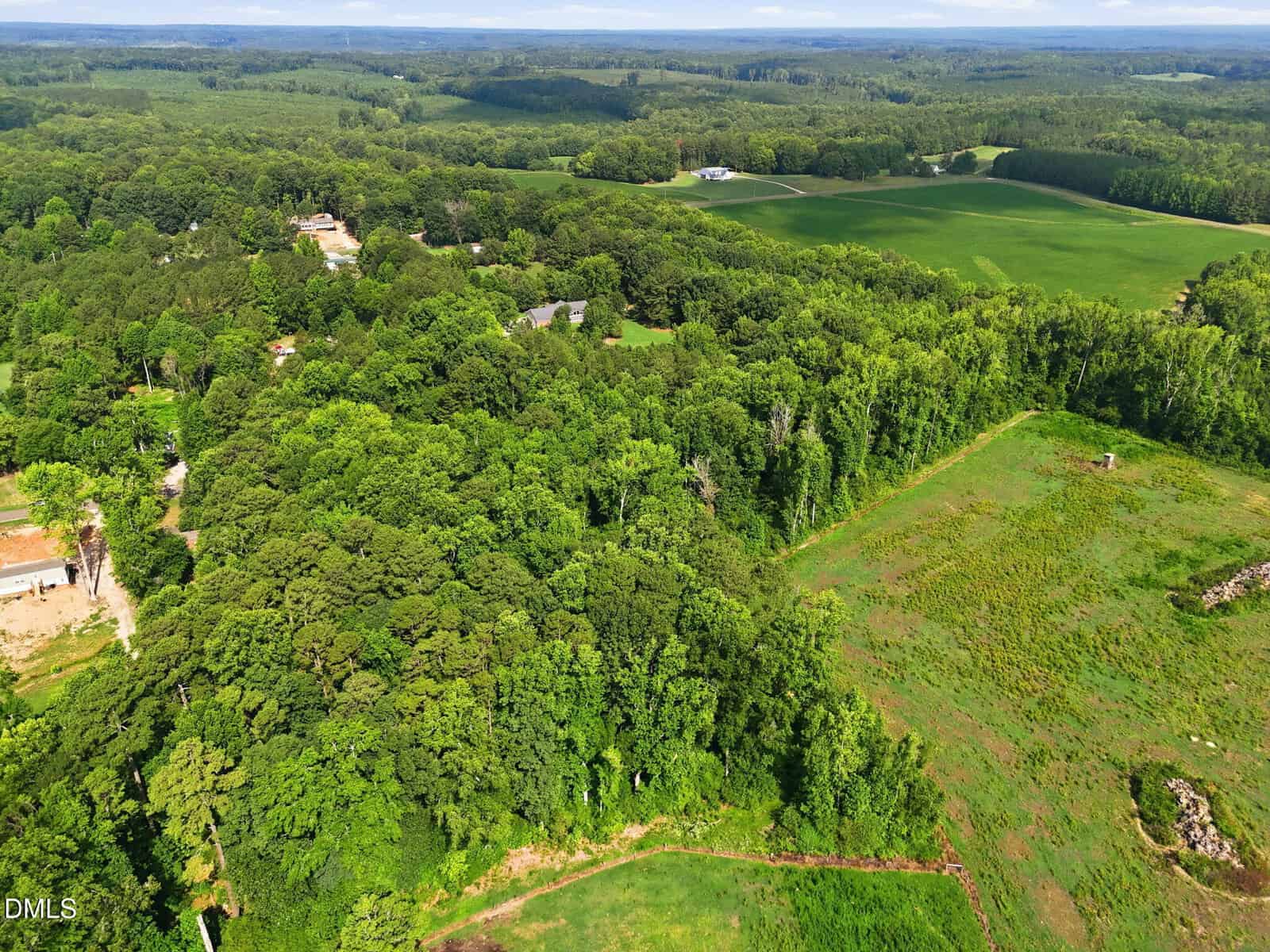Aerial view of a lush, green forest bordered by open fields and farmland, with scattered houses nestled among the trees under a partly cloudy sky.