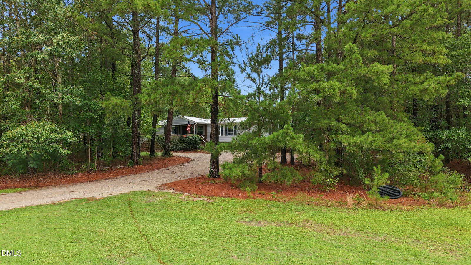 A gravel driveway leads through tall pine trees to a house partially hidden by the trees, surrounded by lush greenery and a grassy lawn under a blue sky.