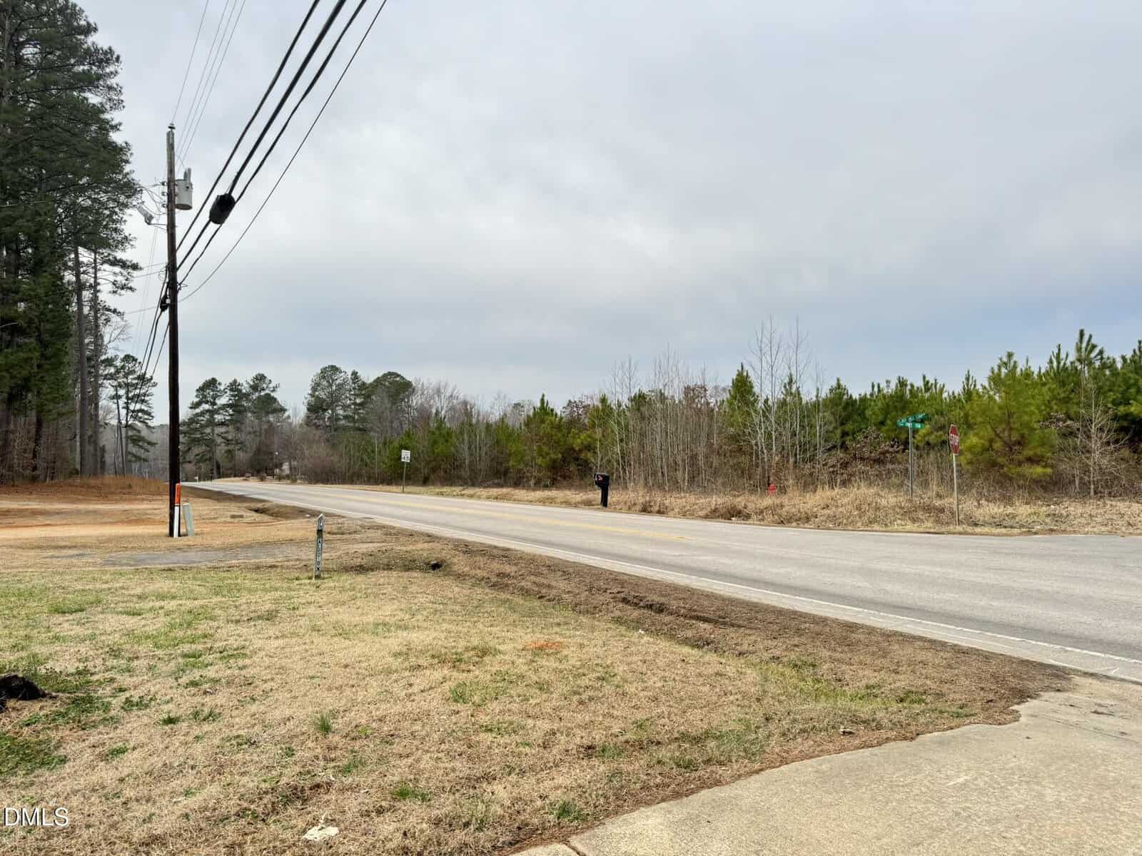 A rural road runs alongside grassy and wooded areas with trees in the background. Power lines cross the sky, and a person stands near the roadside, partly obscured by a bush. The sky is overcast.