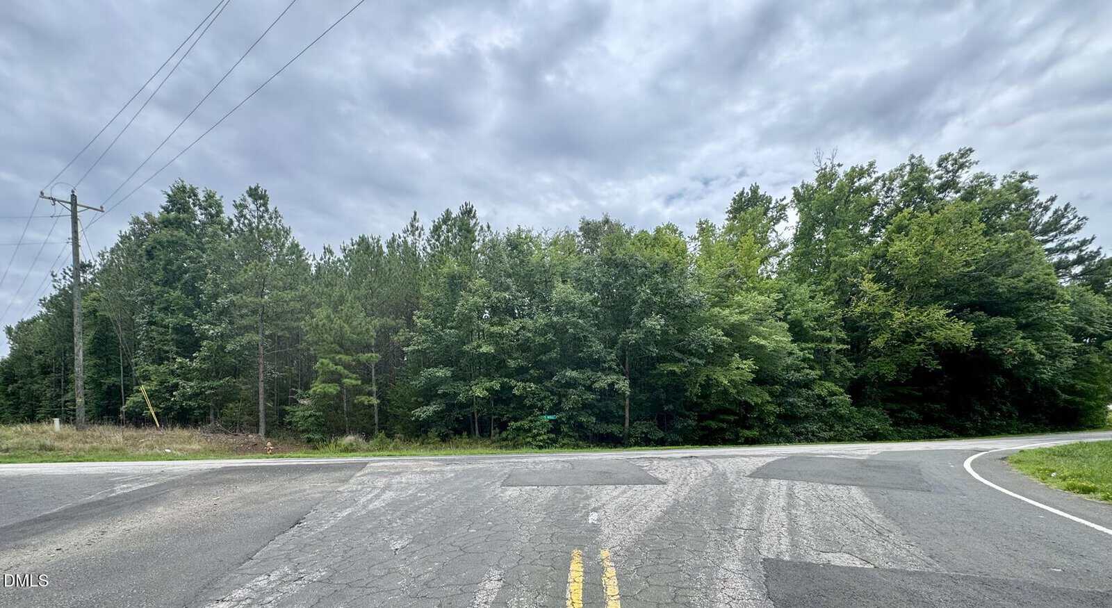 A cracked asphalt road meets 00 Ross Mill Road in front of dense green trees under a cloudy sky. Power lines and a utility pole are visible on the left side, hinting at the quiet surroundings of Henderson.