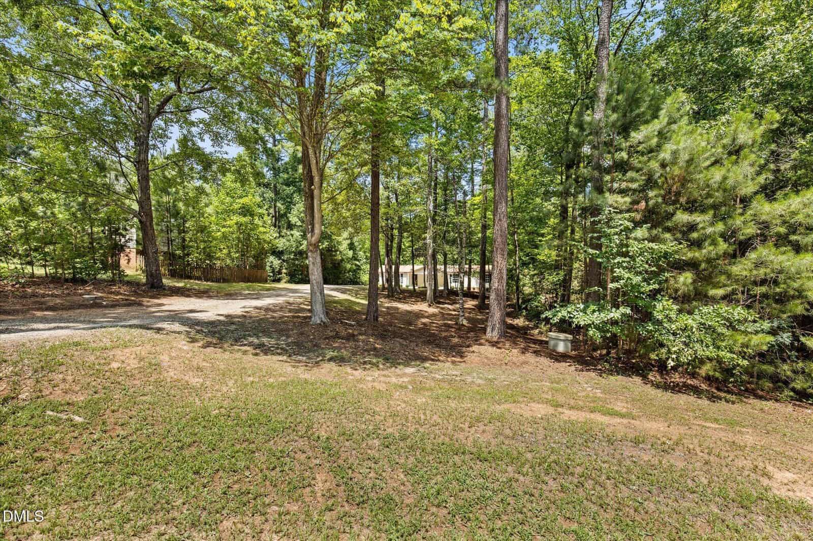 A grassy yard with scattered trees, a dirt and gravel path, and a small shed on the right. Sunlight filters through the green leaves, creating a peaceful, wooded setting.