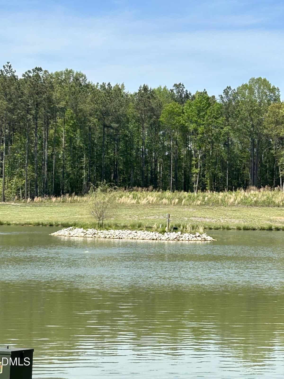 A small rocky island with a few plants sits in the middle of a calm pond, surrounded by trees and greenery under a blue sky.