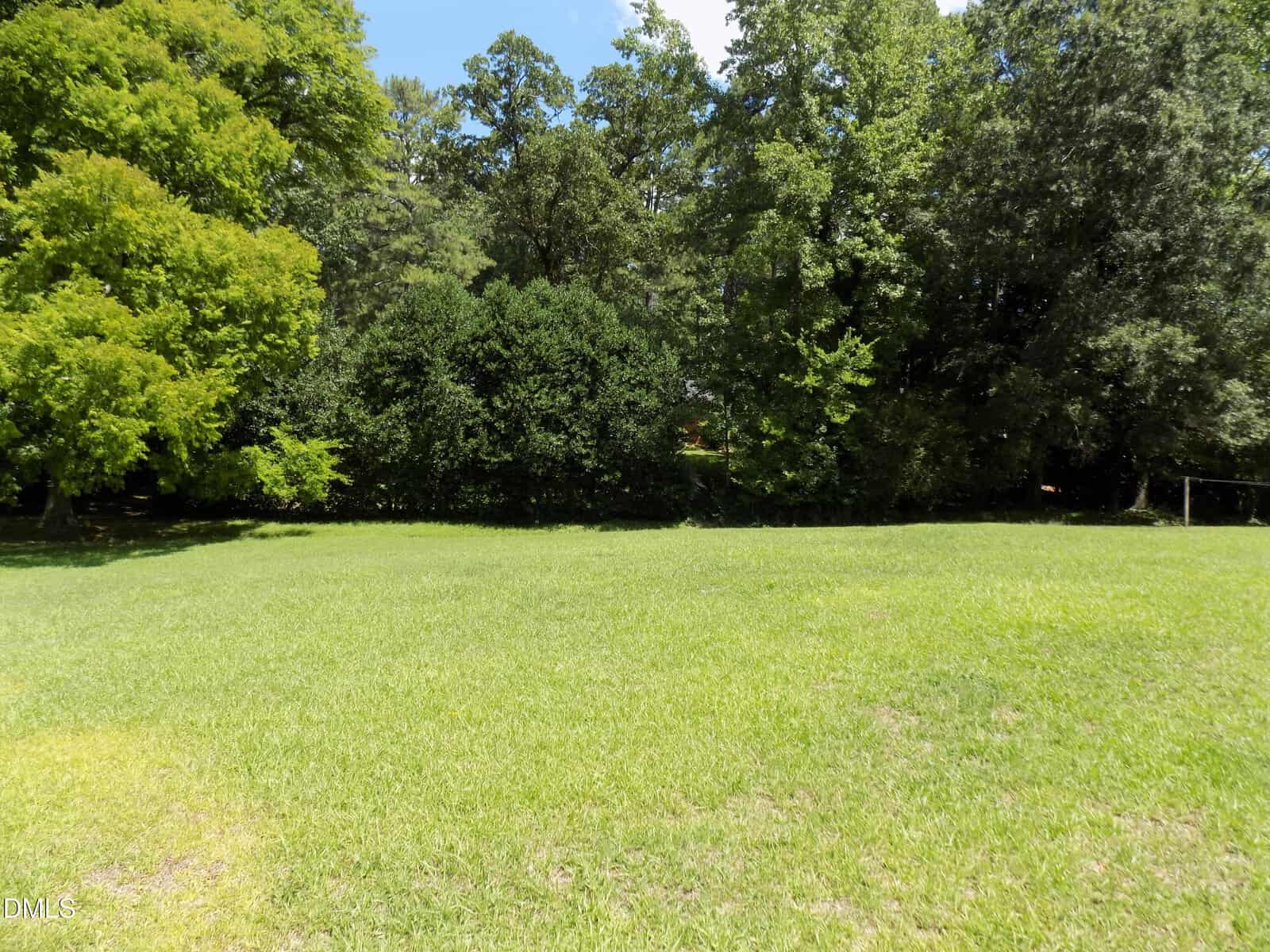 A grassy field with a line of tall, green trees in the background under a blue sky with some clouds. The scene is bright and sunny.