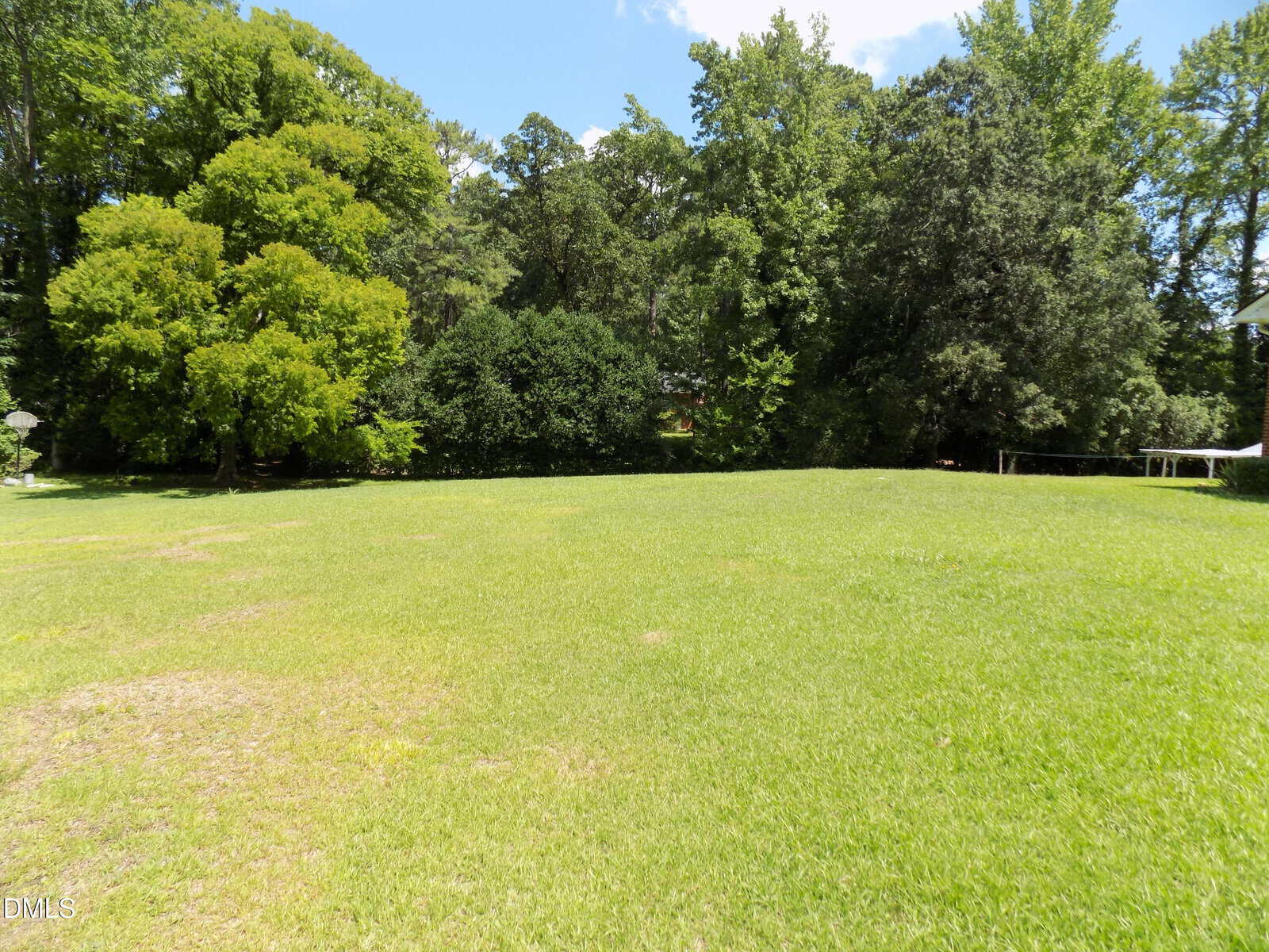 A grassy open field bordered by tall green trees under a blue sky with a few clouds.