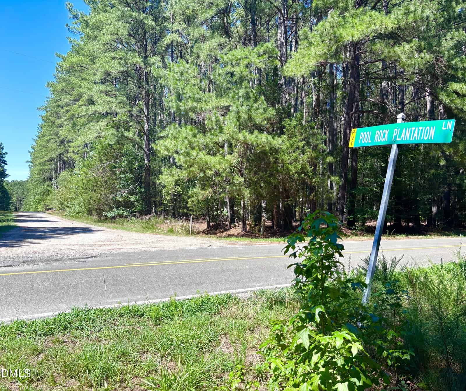 A rural road intersection next to a forest, with a green street sign reading "POOL ROCK PLANTATION LN" slightly tilted amid tall grass and trees under a clear blue sky.