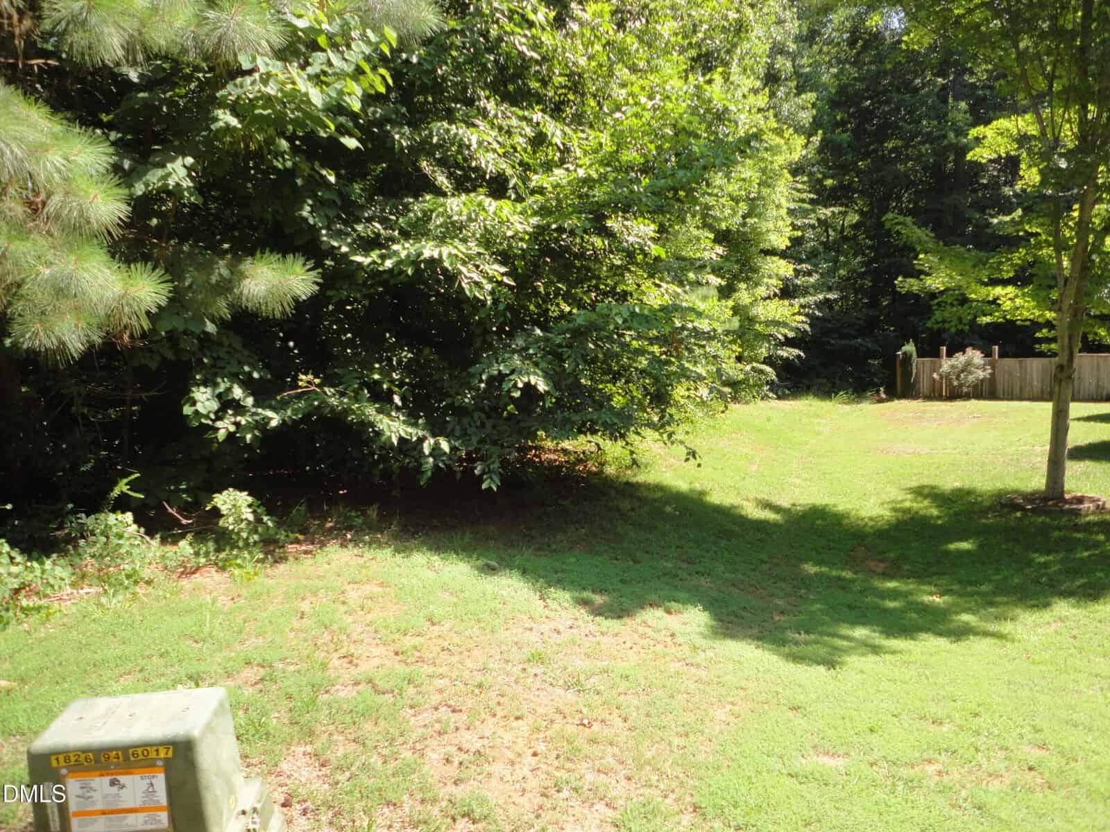 A grassy yard with dense trees and bushes along the edge, partial sunlight, and a utility box in the foreground. A wooden fence is visible in the background on the right.
