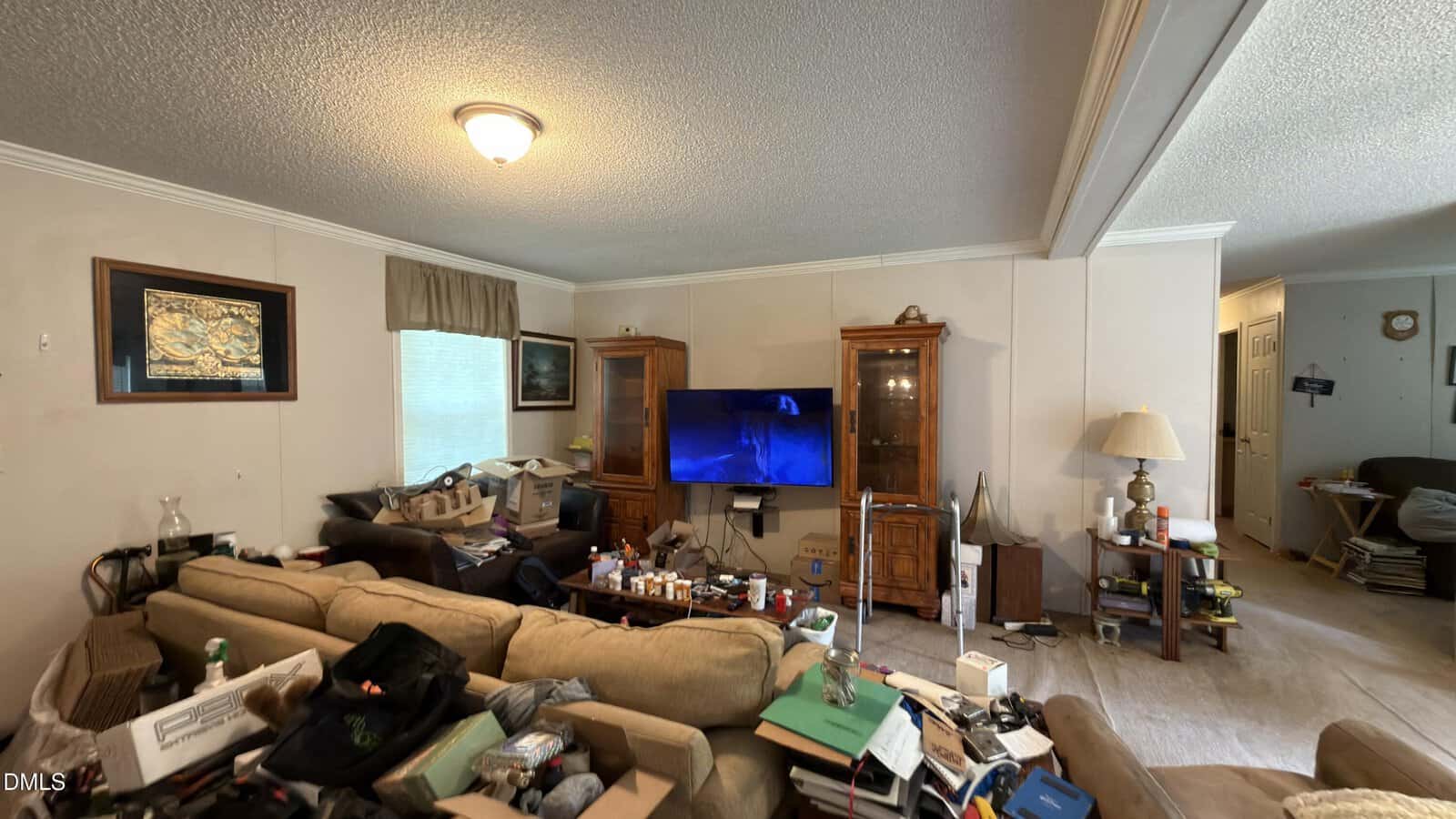 A cluttered living room with beige walls, two sofas, scattered items on the furniture and floor, a TV showing a blue screen, wooden cabinets, a lamp, and paintings hung on the wall. An adjacent hallway is visible.