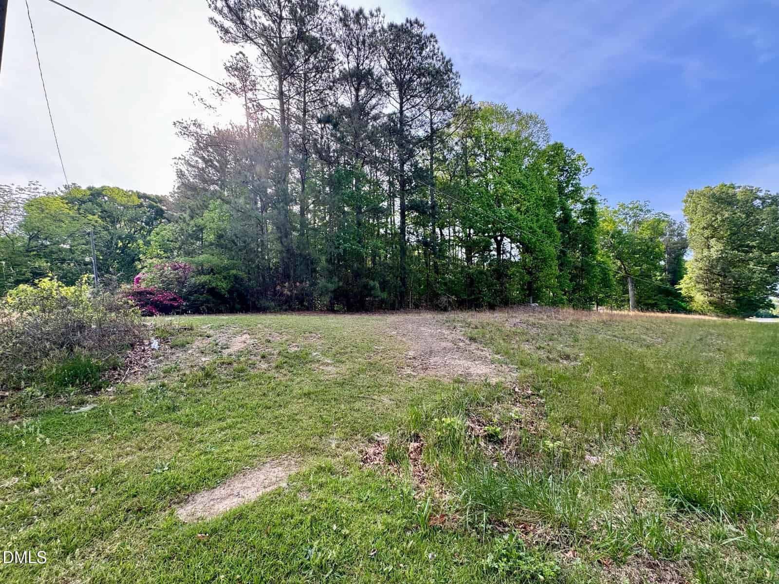 A grassy, slightly sloped clearing bordered by tall trees under a blue sky; some patches of dirt and sparse vegetation are visible, with overhead utility lines on the left.