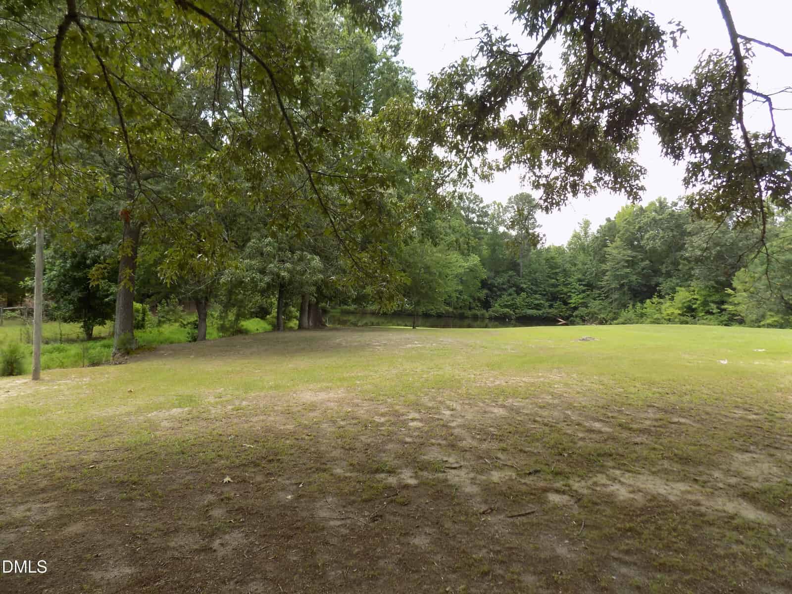 Grassy clearing with patches of dirt, surrounded by tall trees and dense forest. The sky is mostly cloudy, and a small pond is partially visible in the background.