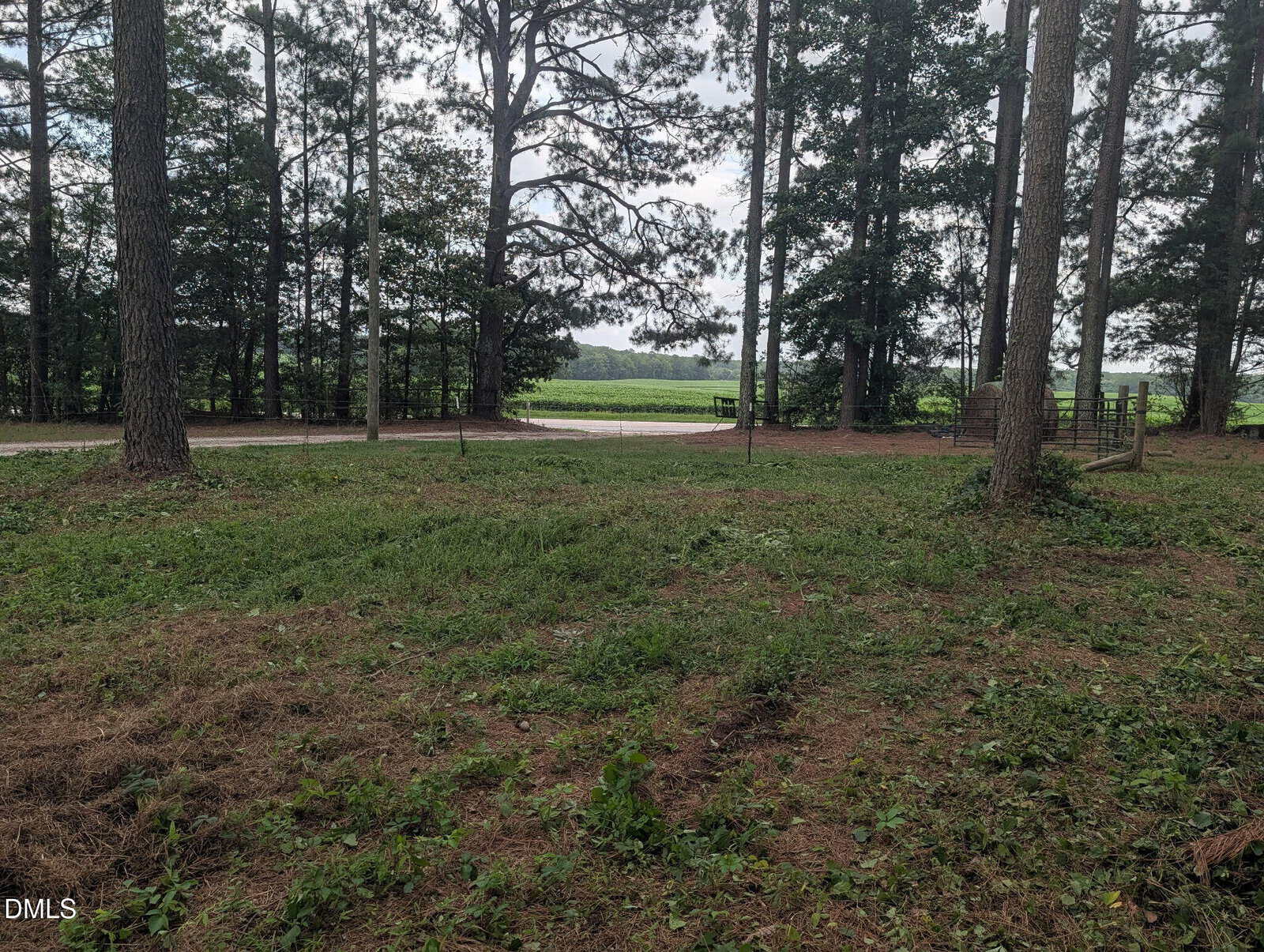 A grassy, partially cleared area bordered by tall trees with a rural road and green fields in the background under a cloudy sky.