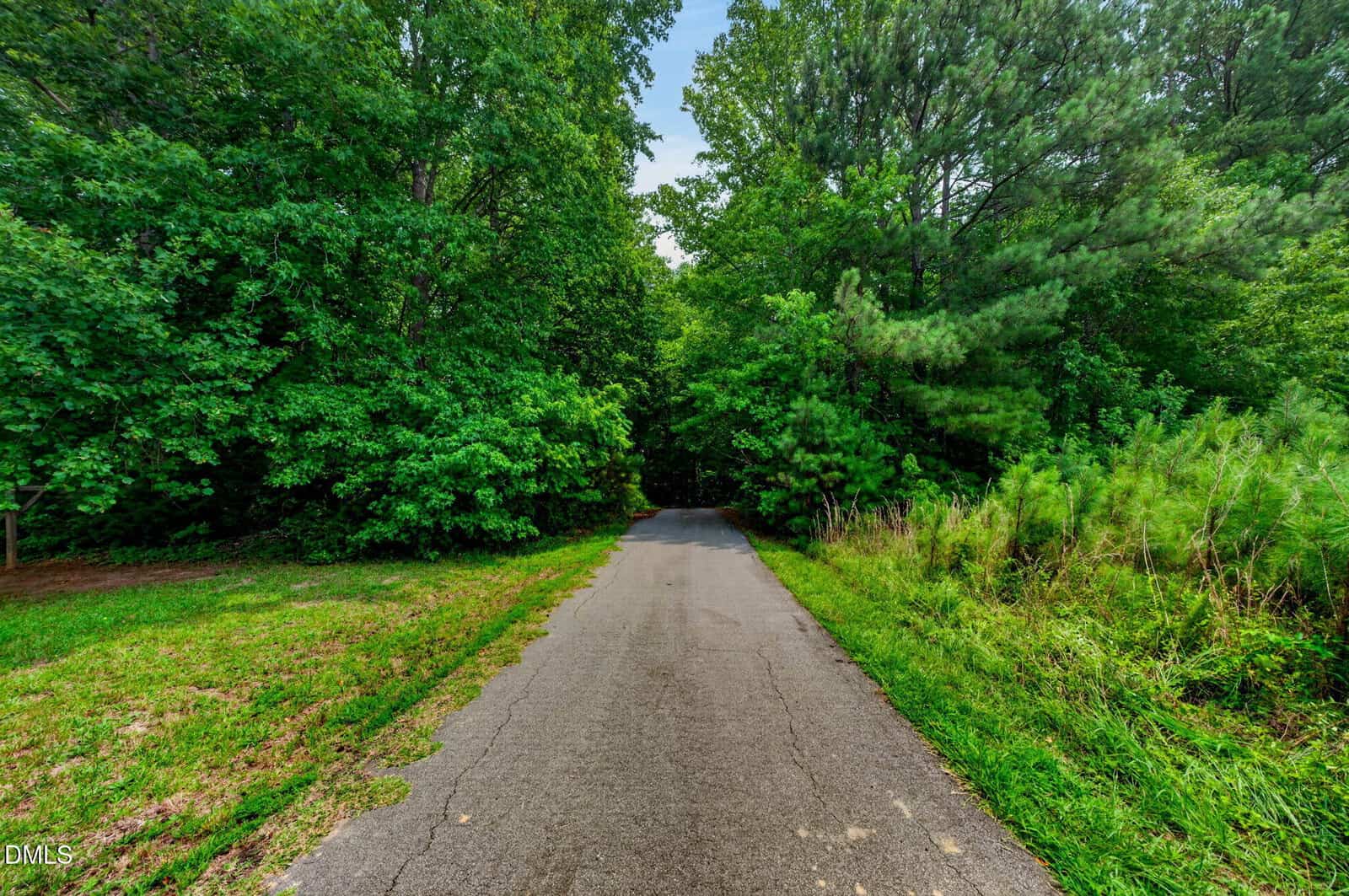 A paved path leads through dense green trees under a partly cloudy sky, creating a peaceful, natural scene.