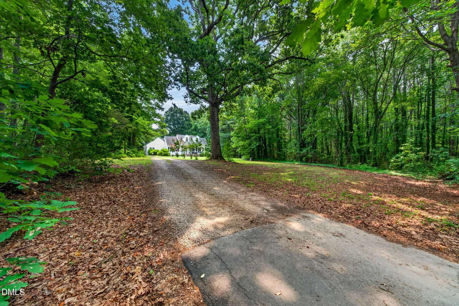 A gravel driveway leads through a wooded area to a white house with a large front yard, surrounded by tall green trees under a blue sky.