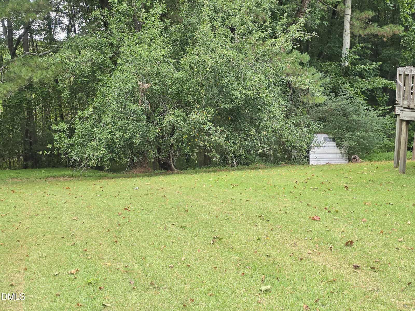 A grassy backyard with scattered leaves, bordered by trees. A large bushy tree stands near a small white shed, and part of a wooden deck is visible on the right side.