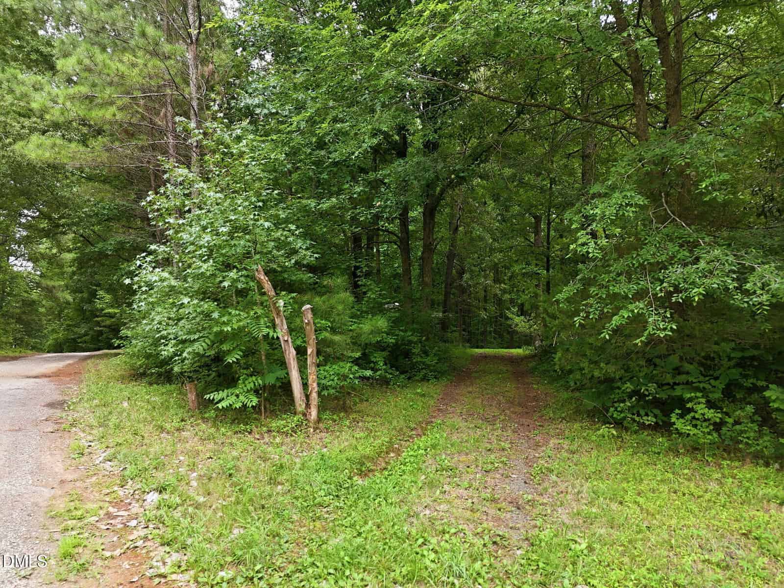 A narrow dirt path leads into a dense, green forest near Oxford. Trees and shrubs surround the path, while a gravel road curves off to the left by 2656 Goldstone Drive. Wooden posts stand near the edge of the path.