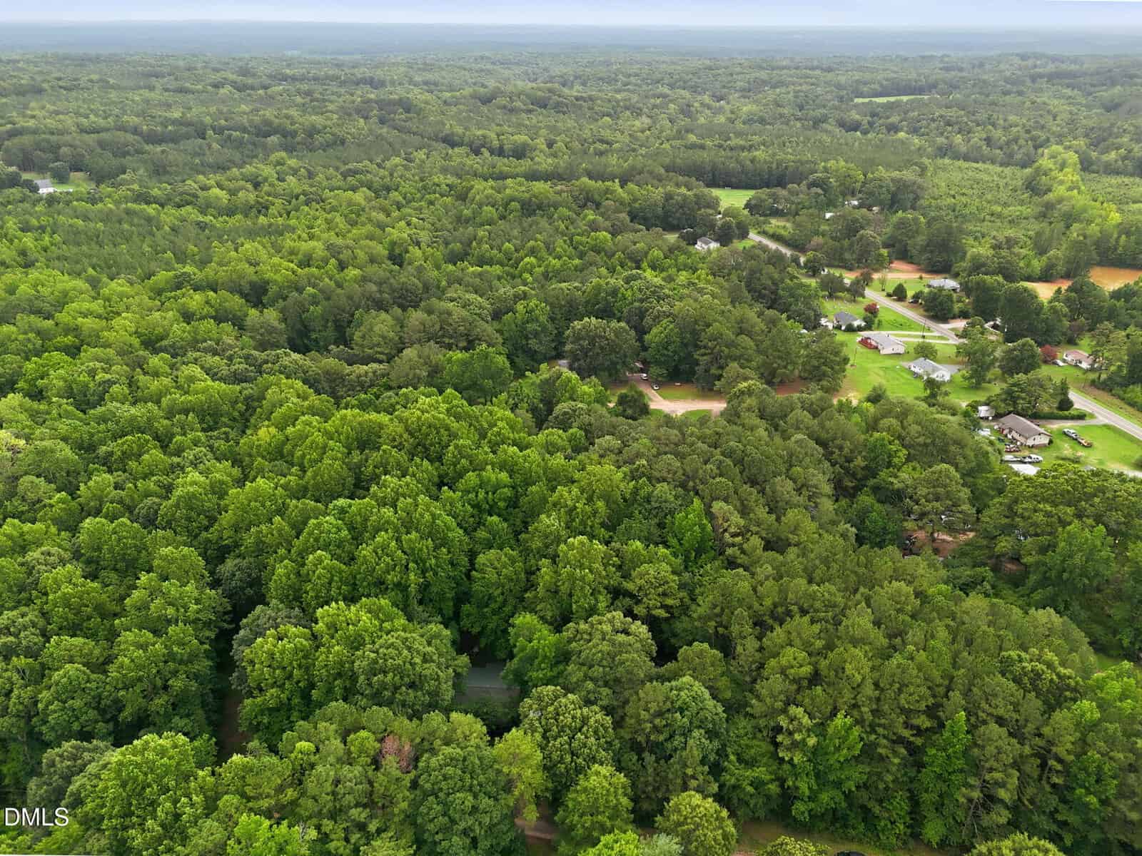 Aerial view of a lush, green forest with scattered houses and roads, stretching into the distance under a cloudy sky.