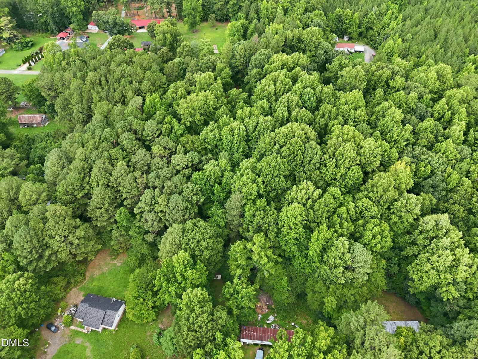 Aerial view of a densely wooded area with several houses and buildings partially visible among the trees; forest surrounds the scene, with a few lawns and clearings.