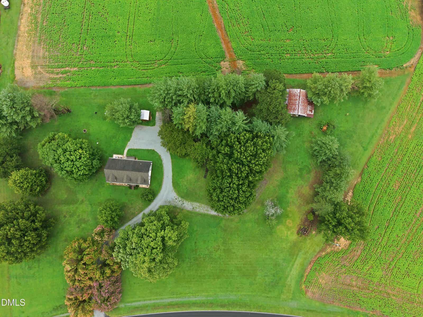 Aerial view of a rural property with a house, a small outbuilding, curved driveway, scattered trees, and surrounding green fields. A road borders the property at the bottom of the image.