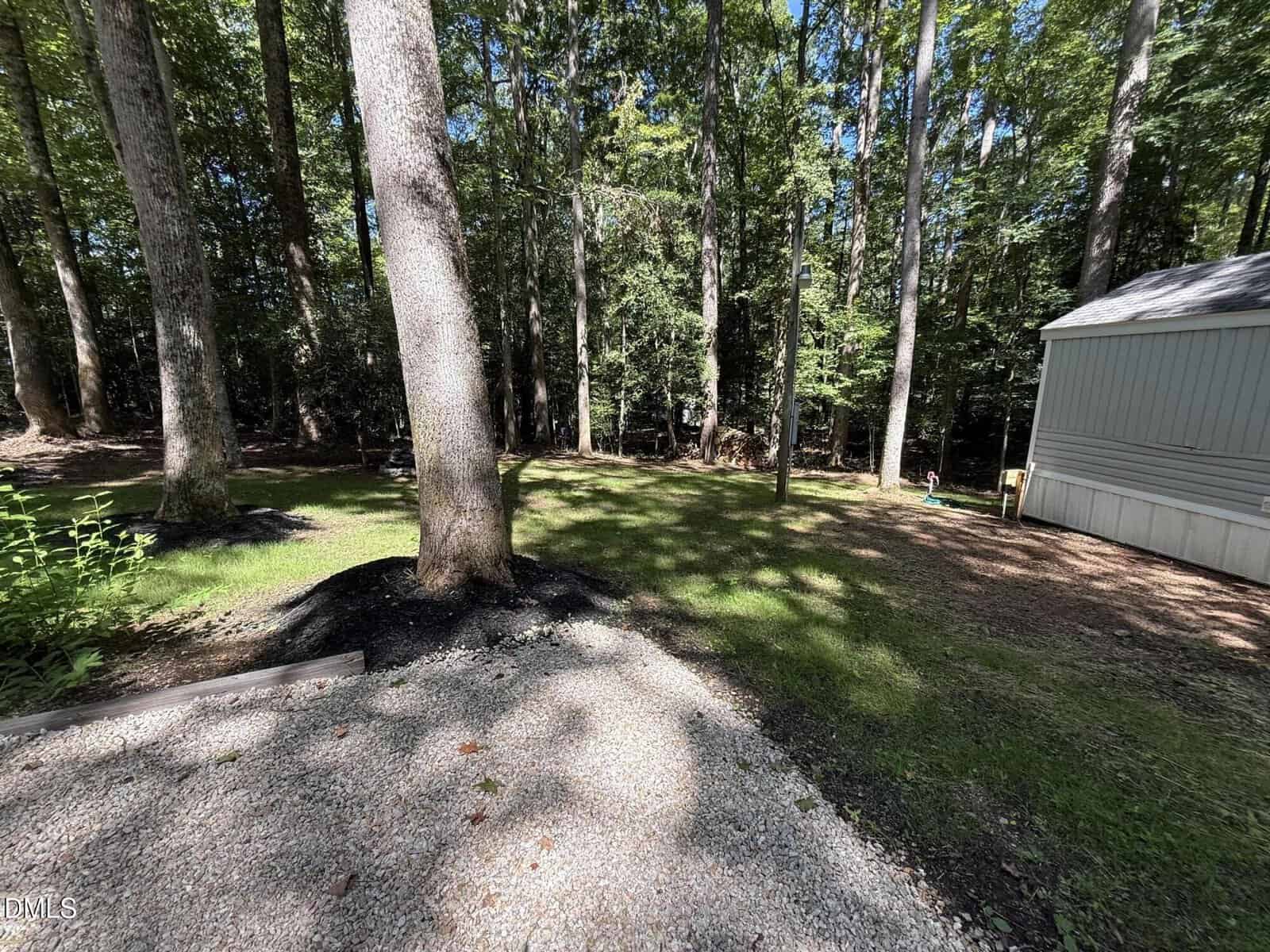 A backyard with tall trees, shaded grassy areas, a gravel surface in the foreground, and a light-colored shed on the right. Sunlight filters through the trees, creating dappled shadows on the ground.