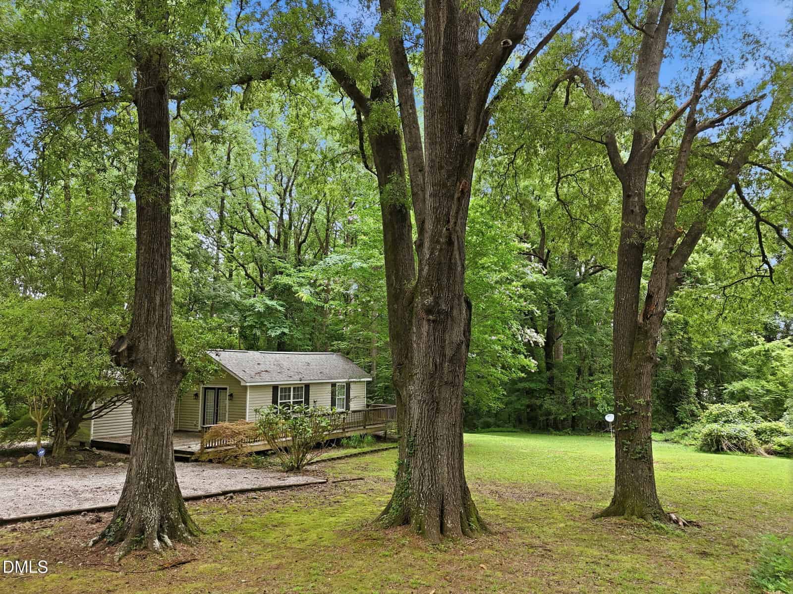 A small beige house with a wooden deck sits among tall trees on a grassy lot. The area is surrounded by dense green foliage. The sky is clear and blue. A satellite dish is visible near the house.