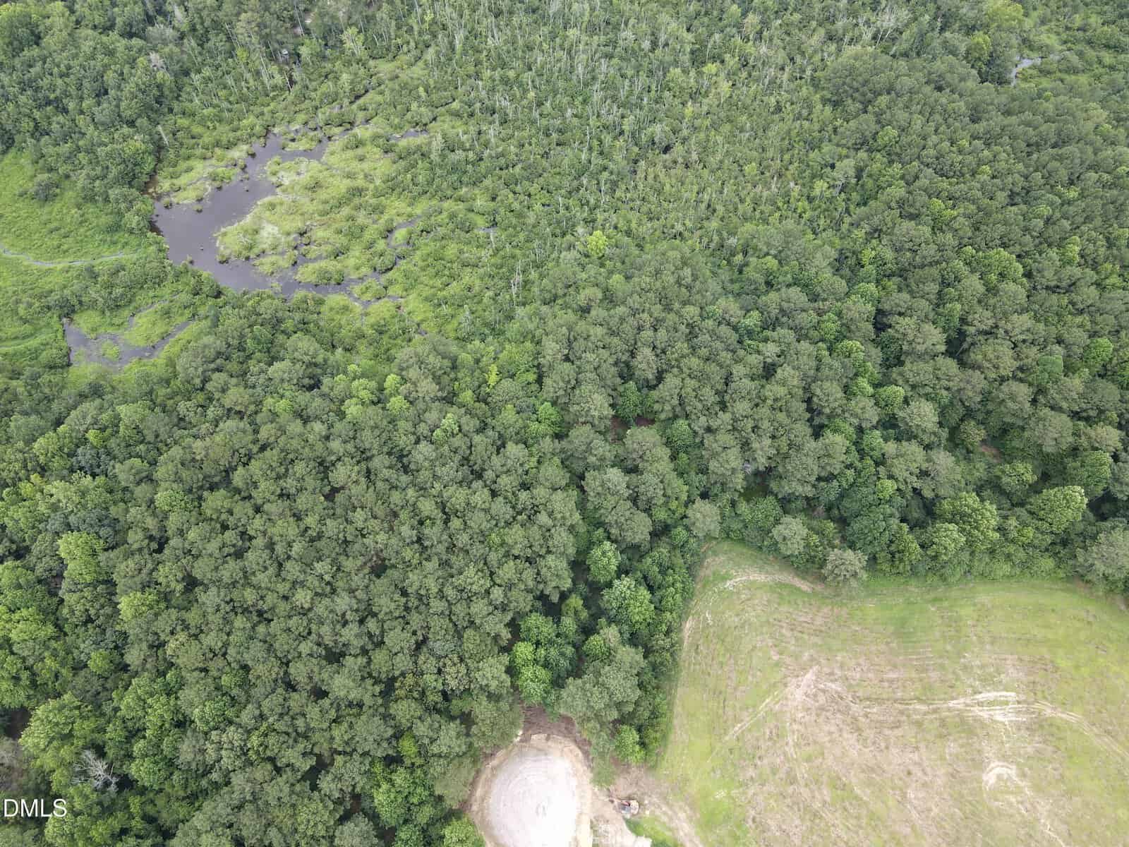 Aerial view of dense green forest, a small pond with marshy areas in the upper left, and a partially cleared field with a dirt patch in the lower right corner.
