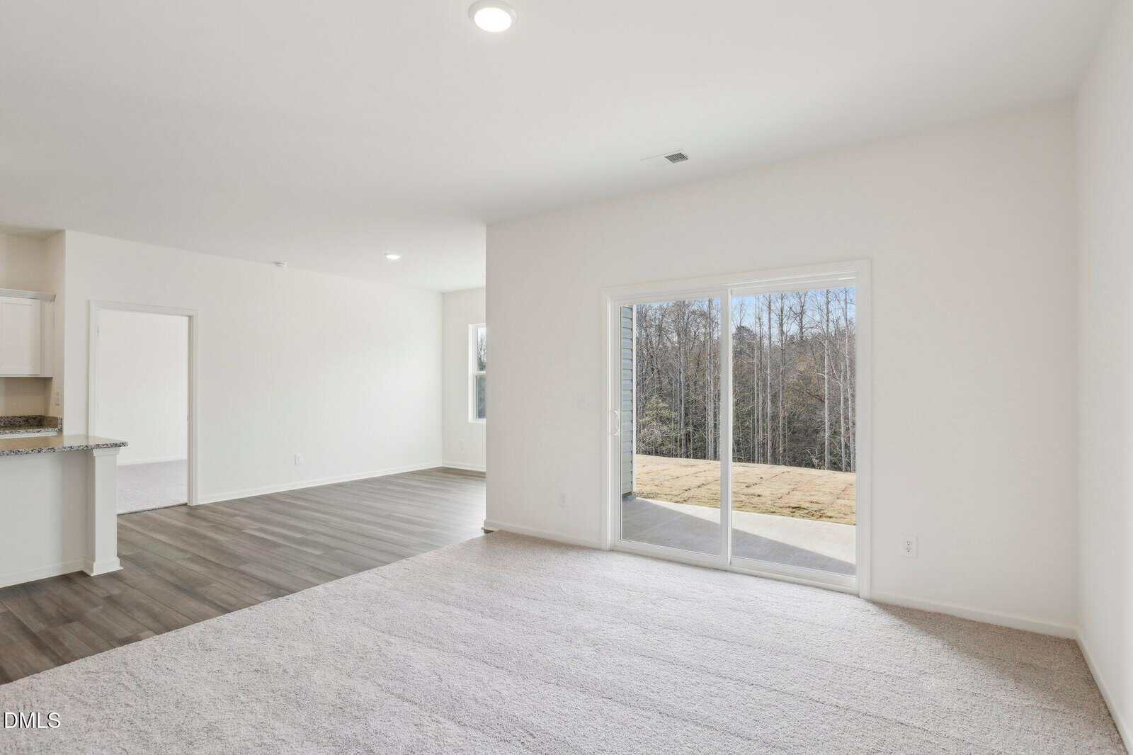 Bright empty living space with light-colored carpet, adjacent to an area with wood flooring. Large sliding glass doors open to a patio and outdoor view. White walls and ceiling, recessed lighting, and visible kitchen countertops.