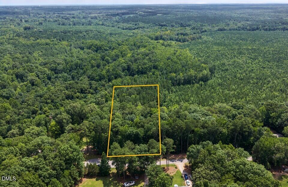 Aerial view of a dense green forest in Macon with one rectangular plot at 00 S Holiday Drive outlined in yellow, bordered by a road and several parked vehicles visible at the bottom.