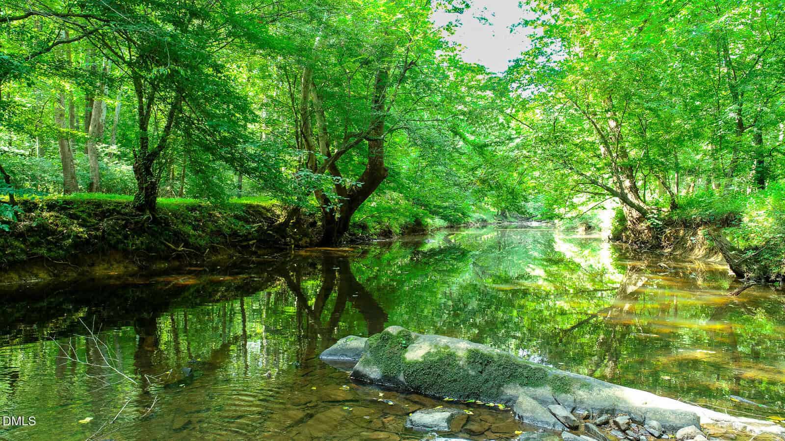 A clear, shallow creek flows through a lush green forest with trees arching over the water, their reflections visible on the calm surface. Sunlight filters through the leaves, creating a peaceful, vibrant atmosphere.