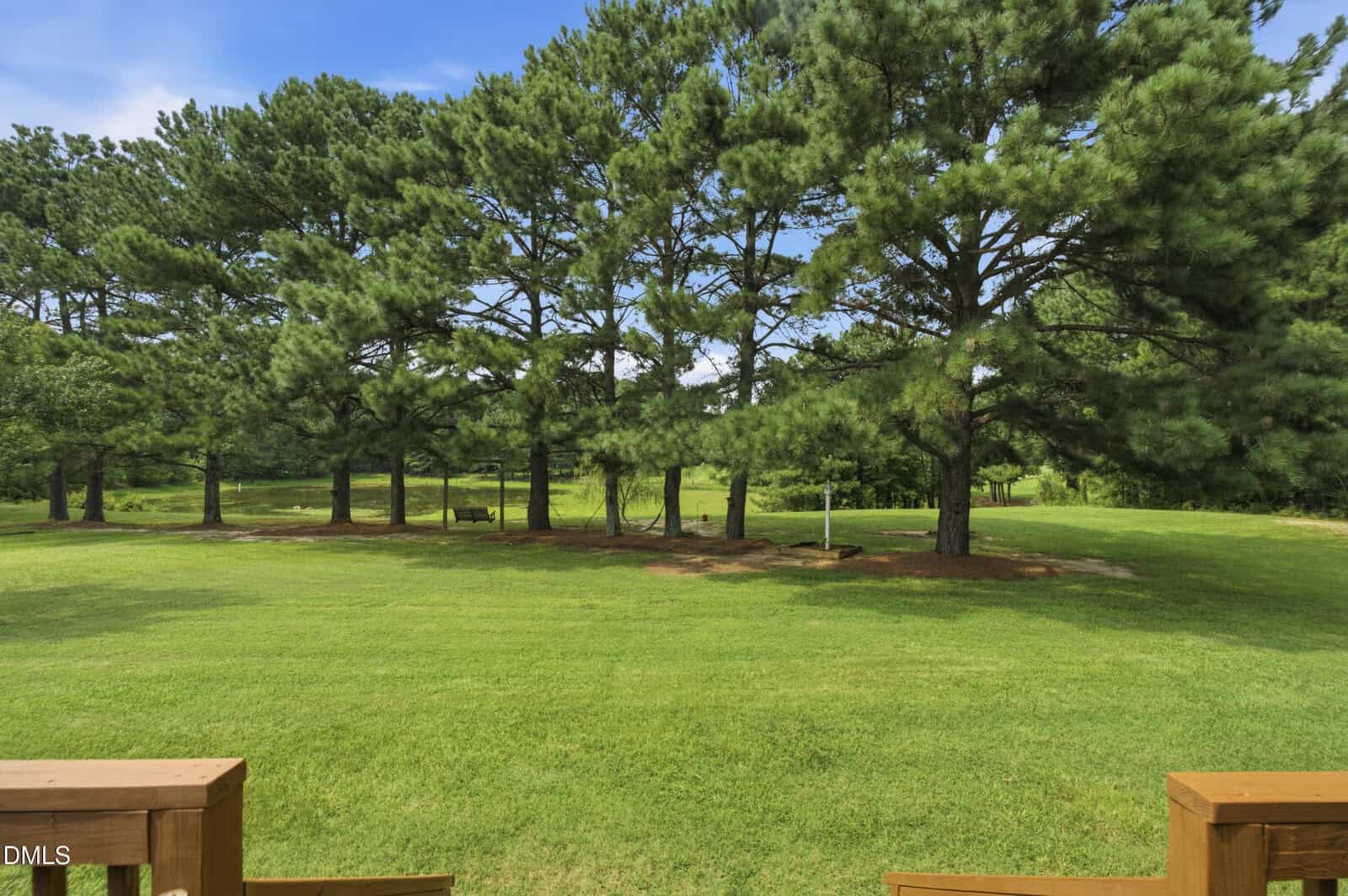 A row of tall pine trees lines the edge of a large, well-maintained grassy yard on a sunny day. Blue sky with some clouds is visible above the trees. Part of a wooden deck is visible in the foreground.