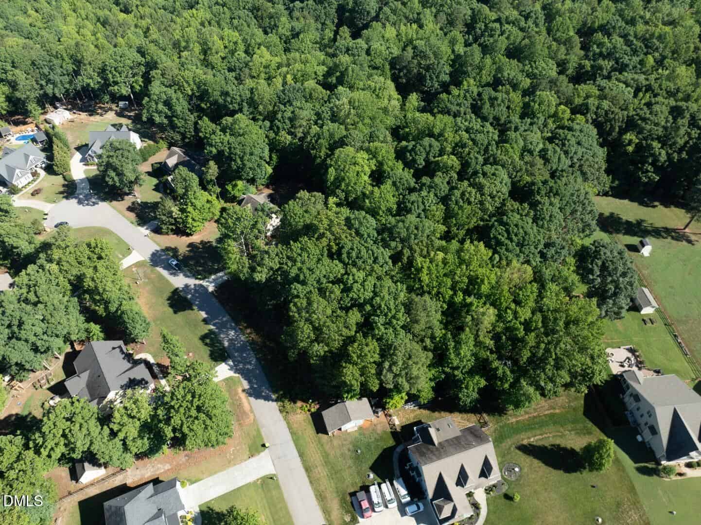 Aerial view of a suburban neighborhood with several houses, a paved road, driveways, grassy yards, and a large wooded area covering part of the scene. Trees dominate the right side of the image.
