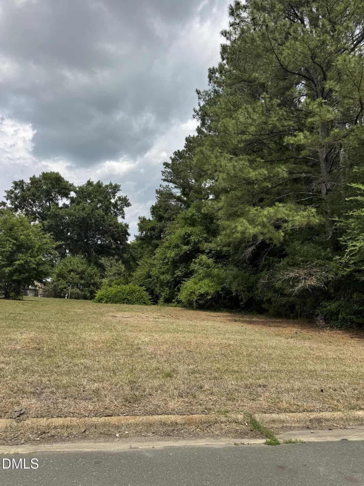 A grassy, slightly sloped vacant lot bordered by tall, leafy trees under a cloudy sky. The edge of a paved road is visible in the foreground.