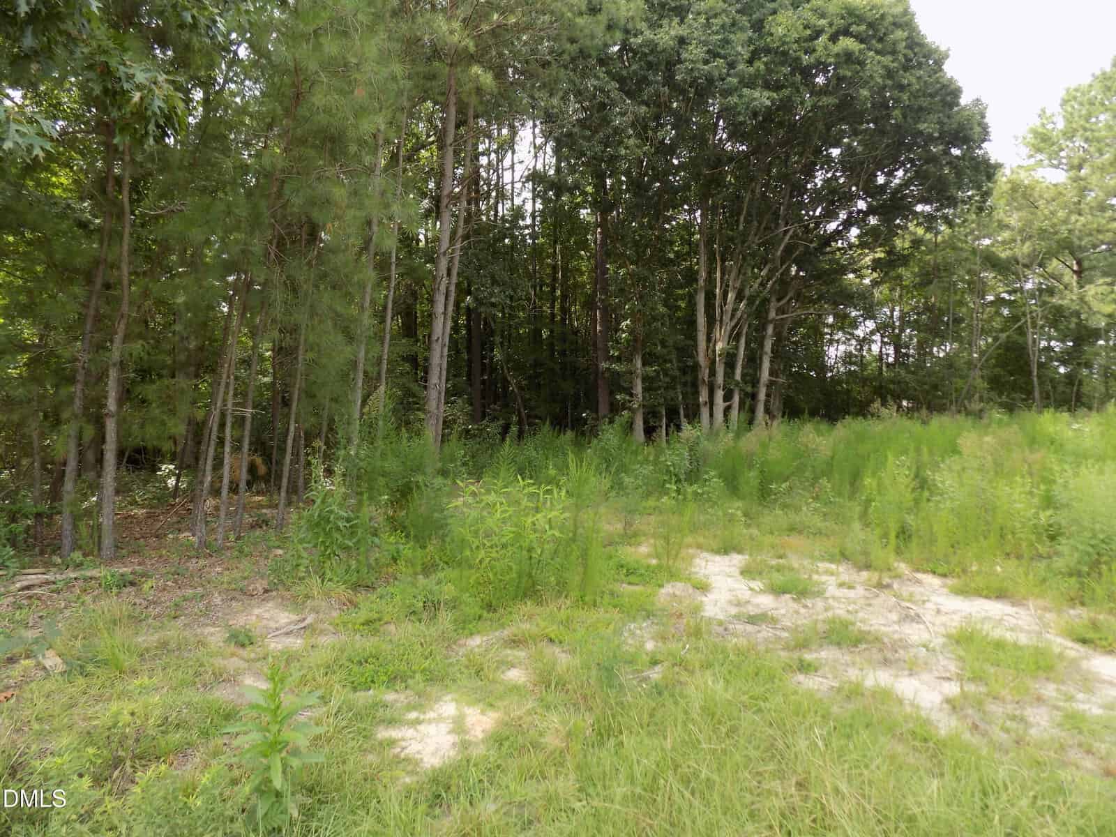 A grassy clearing with patches of bare soil transitions into a dense forest of tall trees and undergrowth near 4009 US 401 Highway N in Louisburg. The scene is outdoors on a partly cloudy day, and the forest appears deep with rich green foliage.