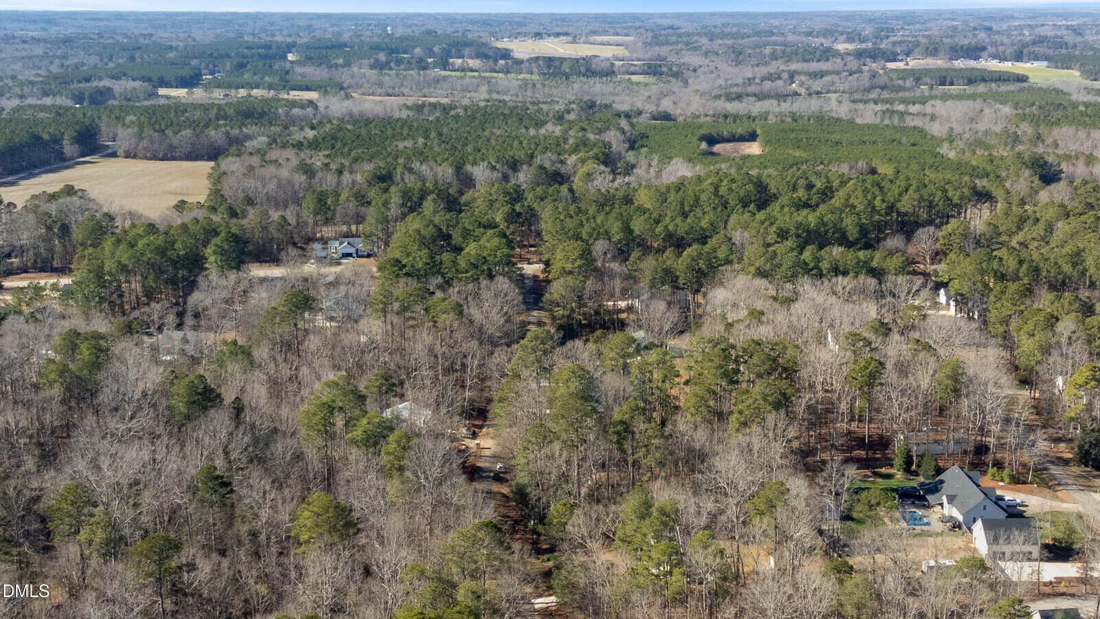 Aerial view of a rural area with dense trees, several houses, dirt roads, and open fields. The landscape extends to the horizon under a clear sky.